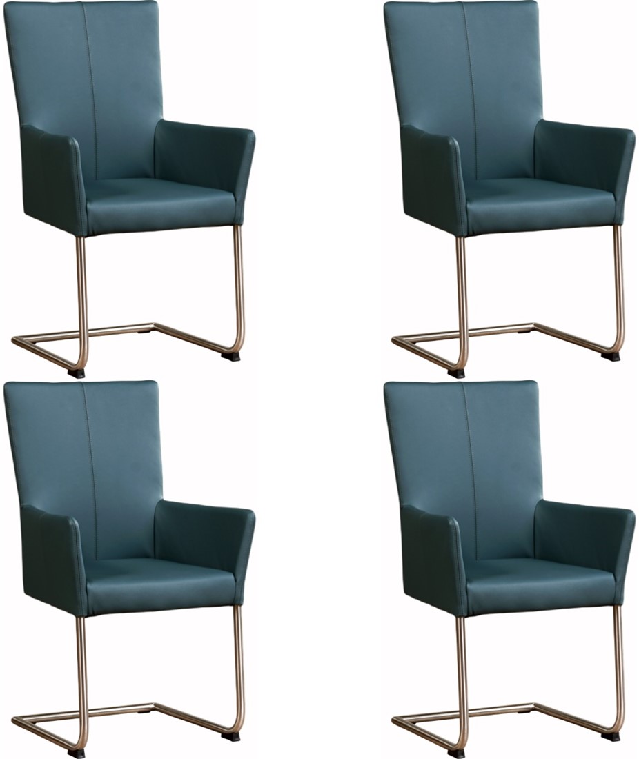 luister Sanders Statistisch Leren eetkamerstoel Dry - met armleuning - set van 4 stoelen ShopX