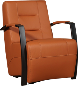 Leren fauteuil magnificent 42 bruin, bruin leer, bruine stoel