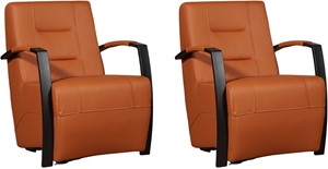 Leren fauteuil magnificent, bruin leer, bruine stoel